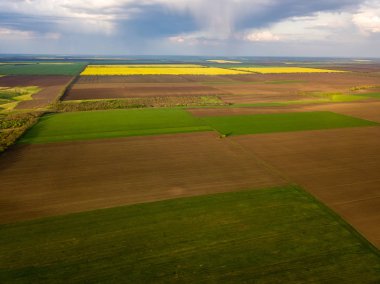 İlkbaharda yetiştirme alanı üzerinde uçuş. Moldova Cumhuriyeti.