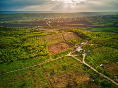 Gün batımında ilkbaharda tarlanın üzerinde uçuş. Moldova Cumhuriyeti.