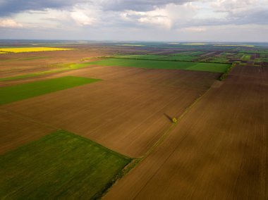 İlkbaharda yetiştirme alanı üzerinde uçuş. Moldova Cumhuriyeti.
