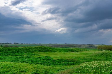 İlkbaharda yetiştirme alanı üzerinde uçuş. Moldova Cumhuriyeti.