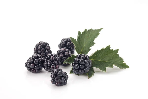 Primer plano de moras frescas — Foto de Stock