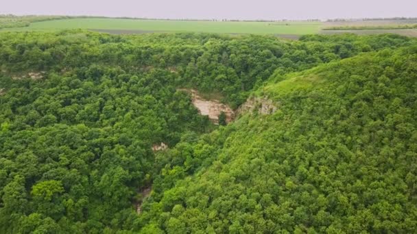 Antena Voar Sobre Uma Bela Floresta Verde Uma Paisagem Rural — Vídeo de Stock