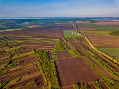 Gün doğumunda ilkbaharda tarlanın üzerinde uçuş. Moldova Cumhuriyeti.