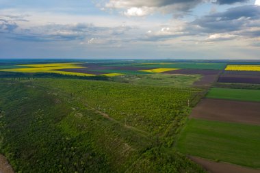 İlkbaharda yetiştirme alanı üzerinde uçuş. Moldova Cumhuriyeti.