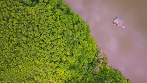 Natur Fluss Grüne Vegetation Ufer Des Flusses Grünes Schilf Und — Stockvideo
