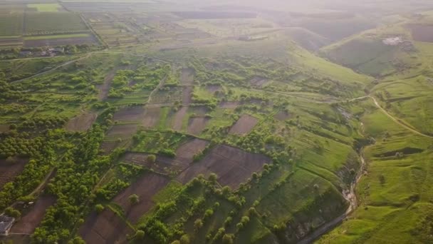 Luz Del Amanecer Vuelo Sobre Campo Cultivo Primavera Moldavia República — Vídeos de Stock