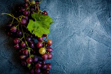 Vintage mavi arka plan üzerinde Üzüm