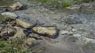 Bir dağ deresine ve şelaleye yakın.