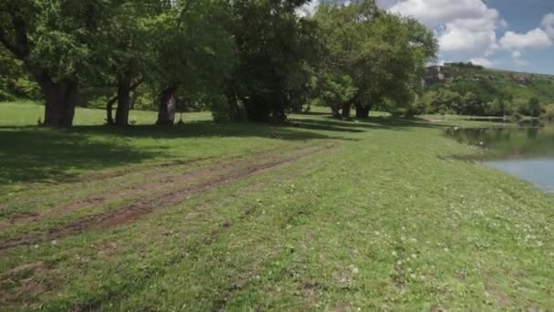 Caméra Déplaçant Entre Les Arbres Dans Forêt Verte Parc Public — Video