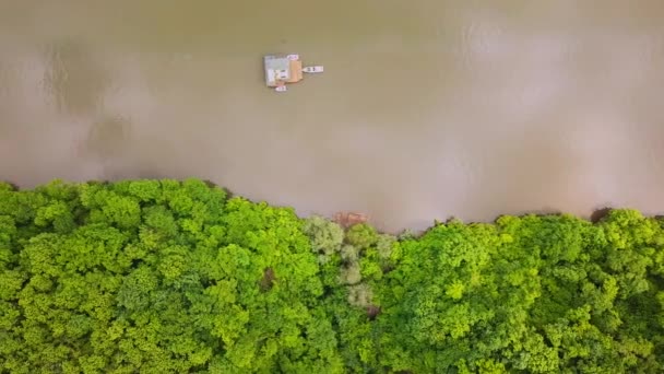 Natureza Rio Vegetação Verde Nas Margens Rio Palhetas Árvores Verdes — Vídeo de Stock