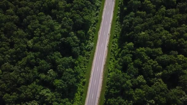 Letecký Pohled Silnici Zeleným Lesem Pohled Shora — Stock video