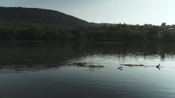 夏季景观与河流 德涅斯特河 摩尔多瓦 稳定拍摄 — 图库视频影像