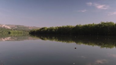 Nehirile yaz manzarası. Dinyester Nehri, Moldova. Steadicam atış.