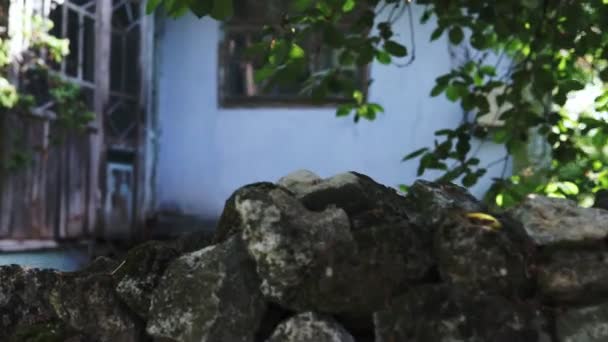 Steadicam Shot Una Vieja Casa Abandonada Pueblo Moldavo — Vídeo de stock