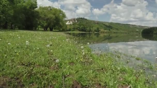 Panorama Del Paesaggio Estivo Con Fiume Fiume Dniester Moldavia Steadicam — Video Stock