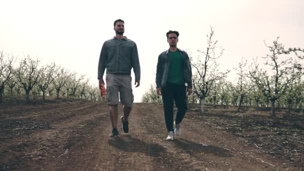 Deux Jeunes Hommes Marchent Dans Verger Pommiers Fleuris — Video