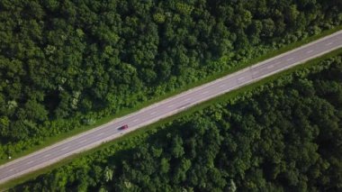 Yeşil ormandan geçen yolun havadan görünümü. Üstte görüntü