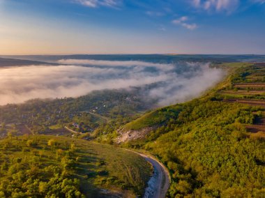 Sabahın erken saatlerinde nehir manzarası. Uzakta bir kulübe ve mistik sis le kaplı ağaç, çok sessiz ve sakin.