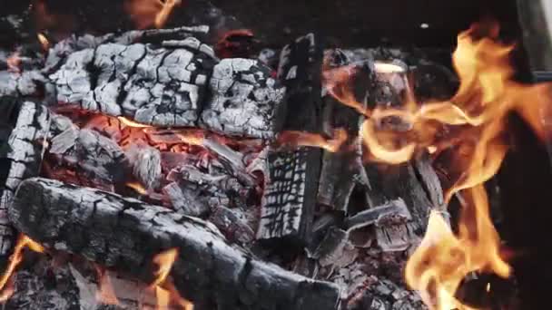 Leña Para Quemar Carbón Parrilla Cerca Troncos Madera Están Ardiendo — Vídeo de stock