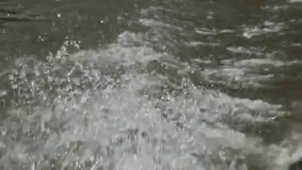 Σκάφος Πλέει Στο Ποτάμι Αργή Κίνηση — Αρχείο Βίντεο