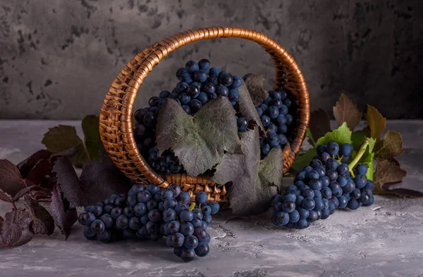 Ainda vida com uvas vermelhas no cesto. Estilo rústico . — Fotografia de Stock