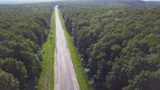 Vista Aérea Estrada Através Floresta Verde Vista Superior — Vídeo de Stock