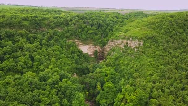 4K的空中飞行在一个美丽的绿色森林在一个乡村的风景 — 图库视频影像