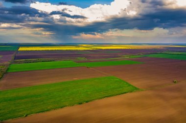 İlkbaharda yetiştirme alanı üzerinde uçuş. Moldova Cumhuriyeti.