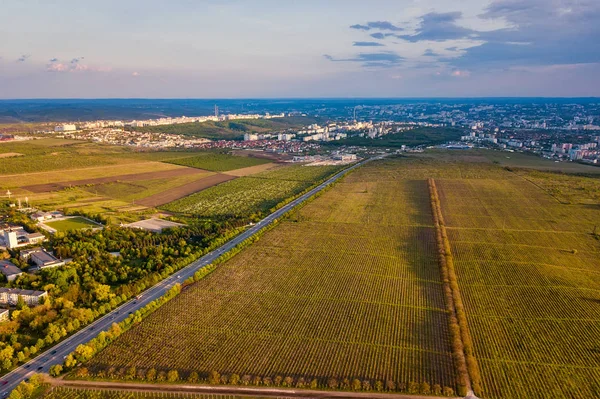 Vuelo sobre el campo de cultivo en la primavera al atardecer. Moldavia República de . — Foto de Stock