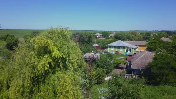 Antenn Shot Flyga Över Boet Stork Och Den Lilla Byn — Stockvideo