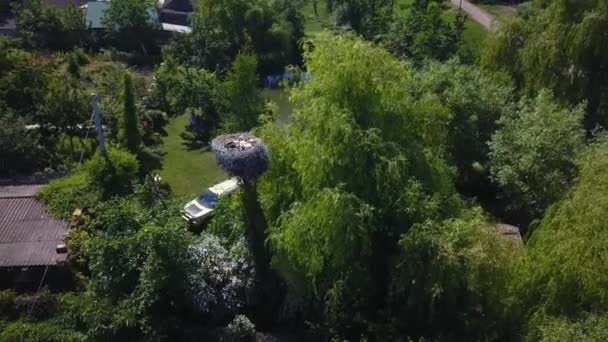 Plano Aéreo Volar Sobre Cigüeña Nido Pequeño Pueblo — Vídeos de Stock