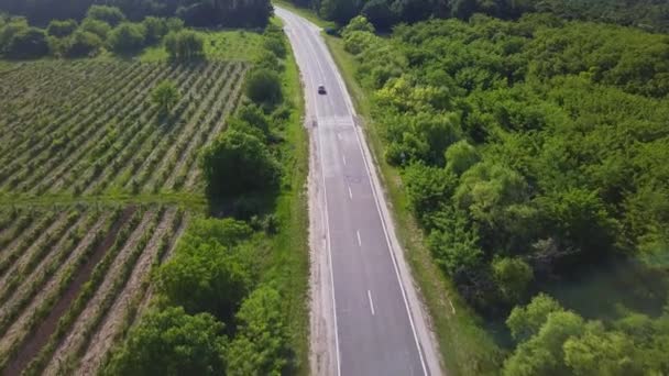 Volo Aereo Sulla Strada Tra Campi Colori Estivi Aereo Verde — Video Stock