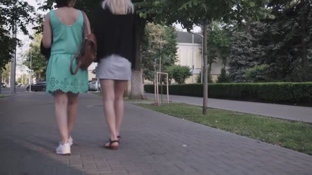 Due Giovani Ragazze Attraversano Parco Vista Dal Retro — Video Stock