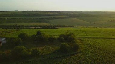 Gün batımında yeşil bir arazide uçan yavaş hava çekimi