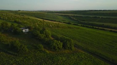 Gün batımında yeşil bir arazide uçan yavaş hava çekimi