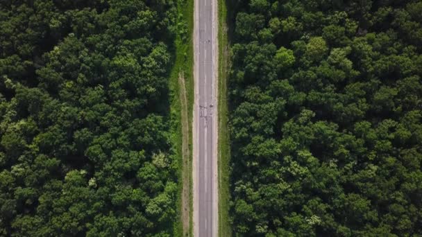 Veduta Aerea Della Strada Attraverso Foresta Verde Vista Dall Alto — Video Stock