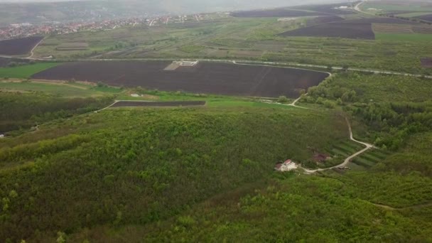 Antenli Güzel Yeşil Bir Ormanın Üzerinde Uçmak Kırsal Bir Alanda — Stok video