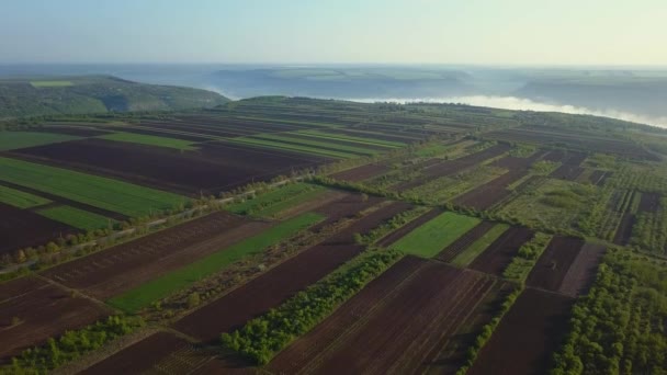 Sonnenaufgangslicht Flug Über Ackerland Frühjahr Republik Moldau — Stockvideo