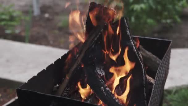 Brennholz Für Die Verbrennung Von Kohle Grill Aus Nächster Nähe — Stockvideo