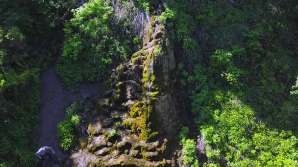 Flyger Över Skogen Och Liten Kaskad — Stockvideo