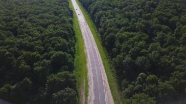 Yeşil ormandan geçen yolun havadan görünümü. Üstte görüntü