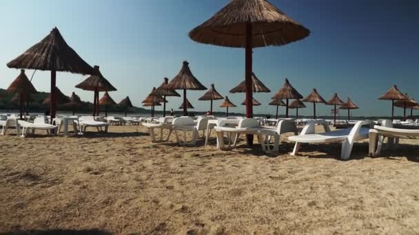 Playa Tropical Arena Con Tumbonas Día Soleado — Vídeos de Stock