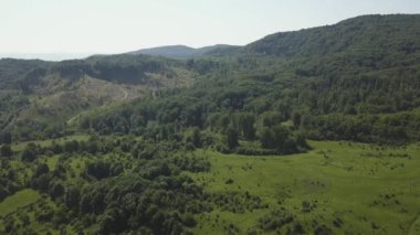 Drone yaz sezonunda Dağlık alan güneşli gün yeşil orman ve küçük şehir üzerinde uçar. Carpatians Mountains, Romanya.