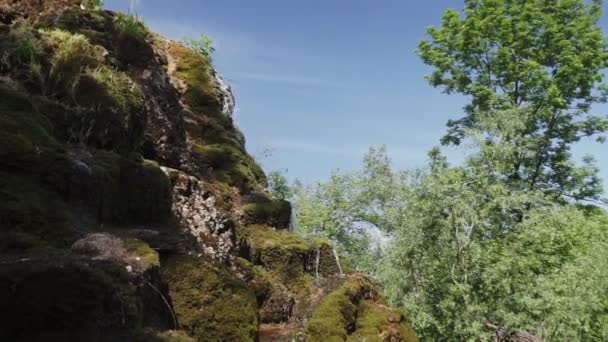 Kameran Flyttar Mellan Träden Den Gröna Skogen Offentlig Park — Stockvideo