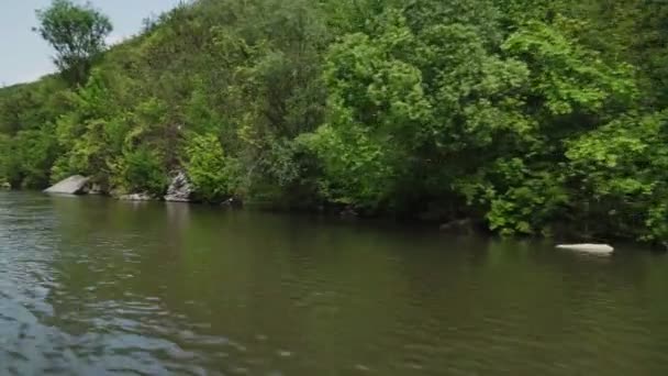 Utsikt Från Motorbåten Floden Rörelse — Stockvideo