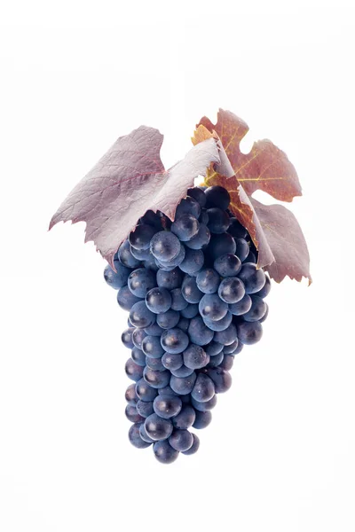 Виноград ізольований на білому тлі. Натуральна їжа . — стокове фото