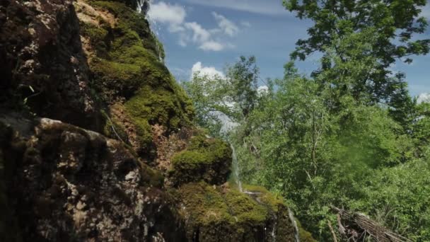 Un petit ruisseau descendant une montagne dans une forêt, entouré de mousse verte .