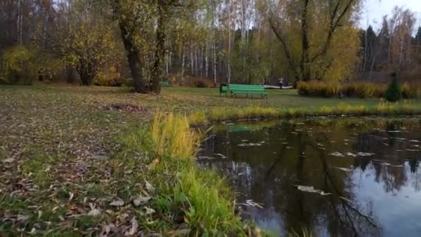 Small Lake Covered Yellow Leaves Autumn Park Gimbal Shot — Stock Video