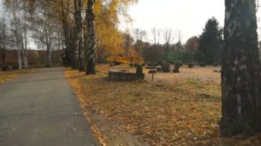 Dinamik çekim. Kamera sonbahar parkı asfalt geçit boyunca uçan.
