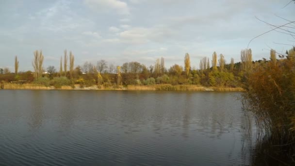 Malé Jezero Pokryté Žlutými Listy Podzimním Parku Střela Kardanu — Stock video
